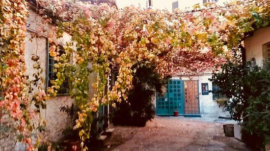 Bistrot il cortile del politecnico